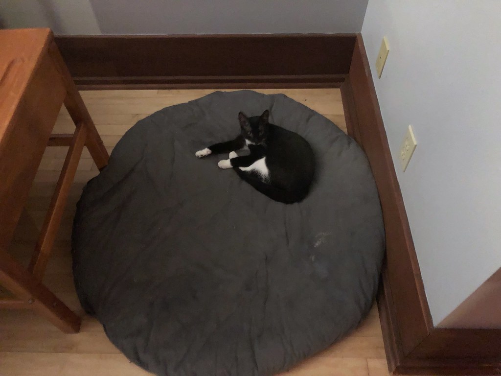 Morning Routine: Stretch, Yawn, Demand Breakfast